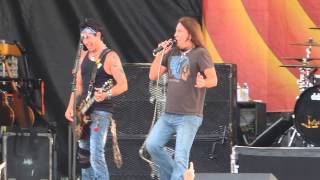 Jackyl Screwdriver