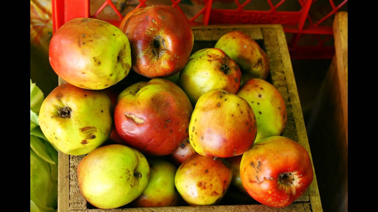 Free Wallpaper Pack 1