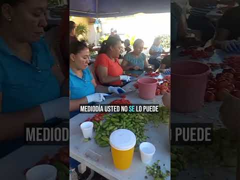 ¡Brutal! 🤤 El Vigorón más grande de Nicaragua se sirve en Granada 🎉