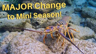 FL Lobster Mini Season 2024 Update: SHOCKING Discovery on Early Recon Mission!