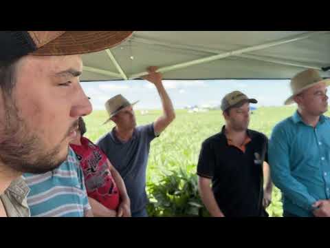Dia de campo em Soledade discute melhores práticas na produção de soja - Rio Grande Rural