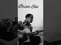 Bristi Elei Wishtree Cover