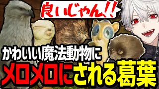 かわいい魔法動物たちを合法的に密漁して大興奮する葛葉【にじさんじ/切り抜き/ホグワーツレガシー】