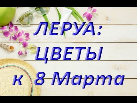 ЛЕРУА: ЦВЕТЫ к 8 МАРТА,05.03.2019,ТЦ "Космопорт",Самара.