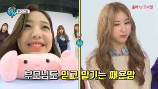 Download lagu 아이즈원 아미고 TV 1,2,3편 통합 몰아보기 mp3 Download lagu 아이즈원 아미고 TV 1,2,3편 통합 몰아보기 mp3