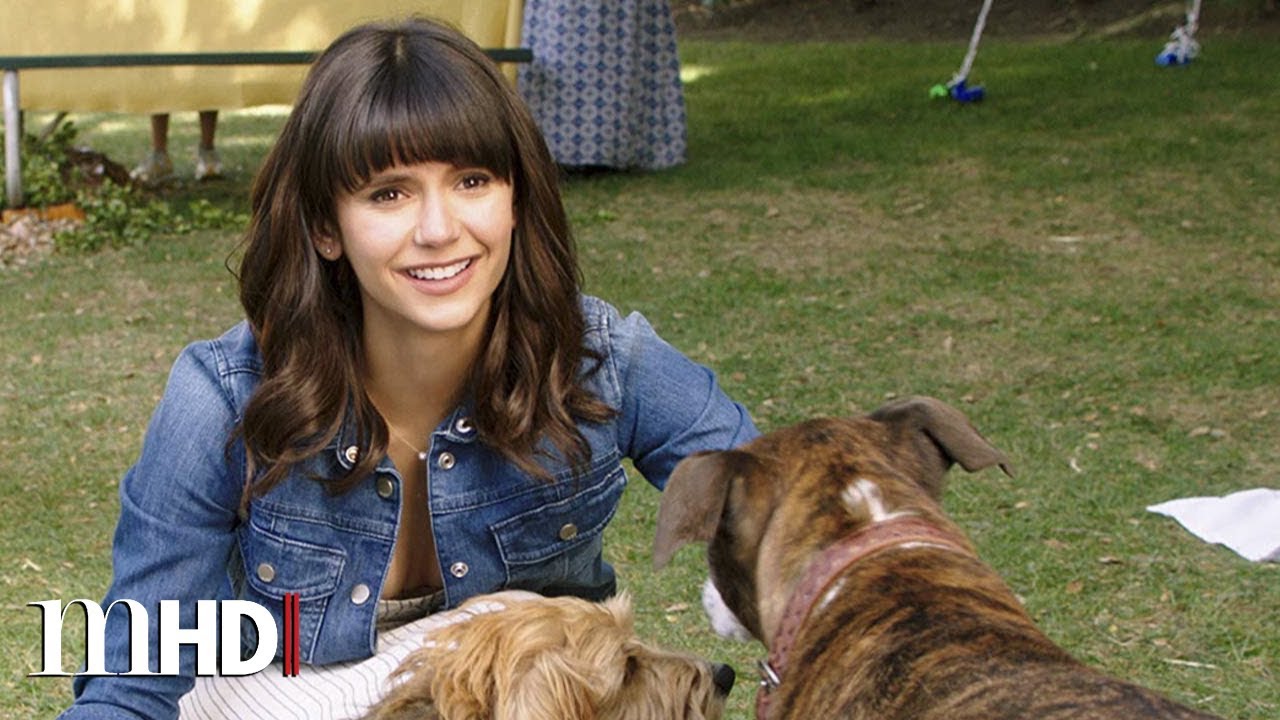 Trailer oficial de Nossa Vida com Cães