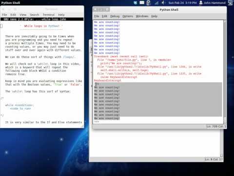 Python 19 While Loop