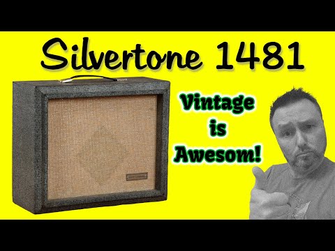 Vintage Silvertone 1481 5 Watt Tube Amp 1960s USA image 11