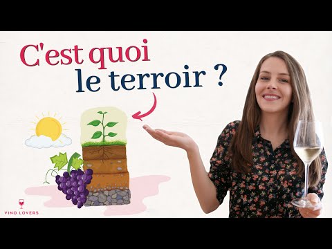 Vin : c’est quoi le terroir ?