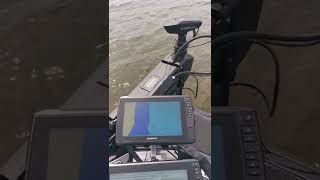 Calibrate your Garmin unit so you can Waypoint off your livescope!