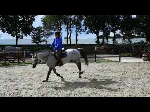 Coupe d'Or x Almox Prints