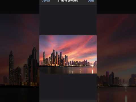 Simplify Real Estate Agency Registration with DigiMavens Chatbot!
