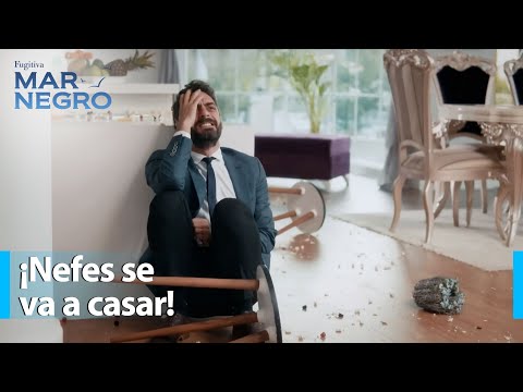 ¡Vedat se ha vuelto loco! - Mar Negro Capítulo 48 | Fugitiva