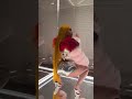 Gyattt