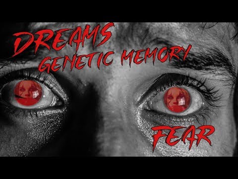 On Dreams, Genetic Memory, And Fear