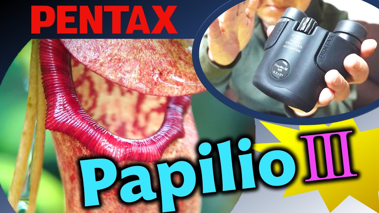 PapilioⅢ双眼鏡レビュー：世界が驚愕した唯一無二のカラクリ構造で近接立体視を実現！