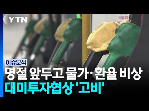 명절 앞두고 물가·환율 비상...대미투자협상 '고비' / YTN