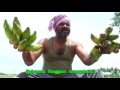 Kaai Kaai Kaai Tamil Children Song