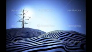 Dj Cloro - Moderat - Porc#1 remix