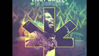 Ziggy Marley - "Wild and Free" | Ziggy Marley In Concert