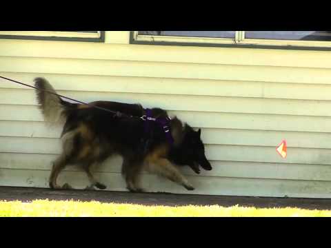 NW1 Exterior 04 Weiss Cody