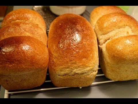 download lagu mp3 mp4 Whole Wheat Flour Australia, download lagu Whole Wheat Flour Australia gratis, unduh video klip Whole Wheat Flour Australia