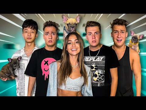 NE-AM TRANSFORMAT ÎN CÂINI