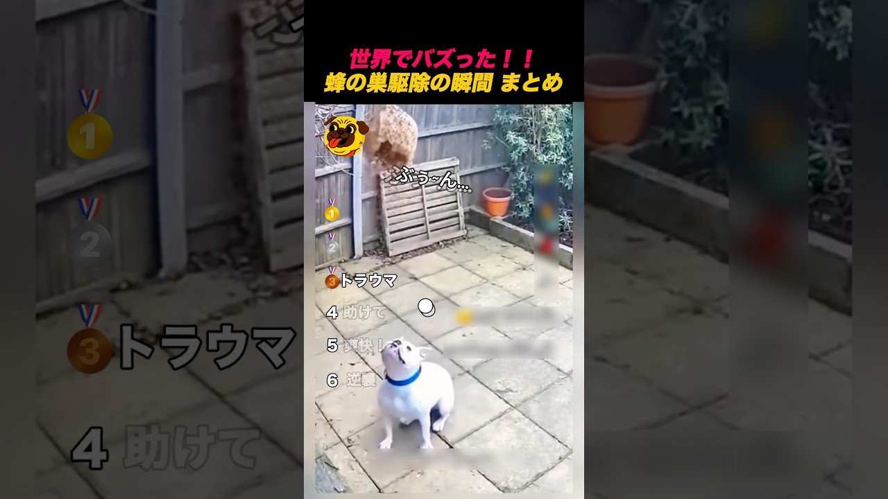 世界でバズった‼️蜂の巣駆除の瞬間🐝🫨 #shorts #バズ動画