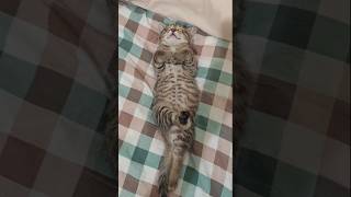 She Sleeps In Strange Poses 😂