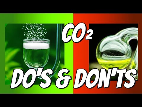 Aquarium CO2 Mistakes: 12 Do’s and Don’ts for Planted Tanks.
