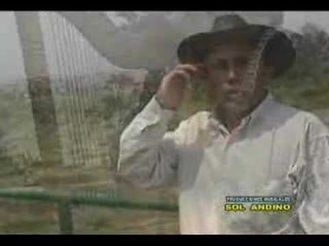 Rosita De Mis Amores - Silverio Urbina