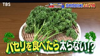 パセリを食べたら太らない!? パセリは添え物から主役になれるか!?『それって実際どうなの会』9/9(水)【TBS】