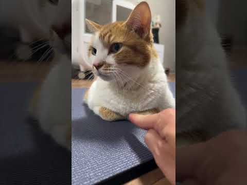 何が何でも - 定義