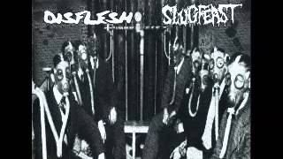 Disflesh - Slugfest - War Would Be Disastrous SPLIT
