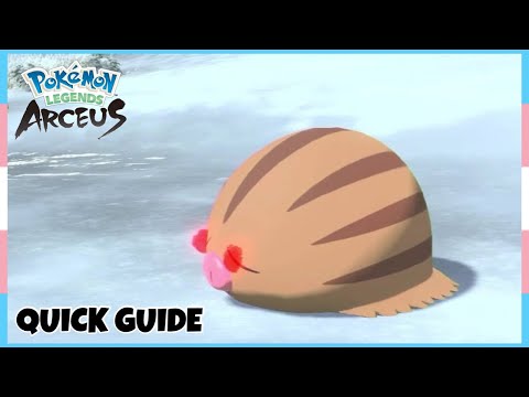 Where To Catch Alpha Swinub *Alabaster Icelands* In Pokemon Legends Arceus | Location Quick Guide