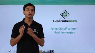 Class 11th – Fungi Classification – Basidiomycetes | Biological Classification | Tutorials Point