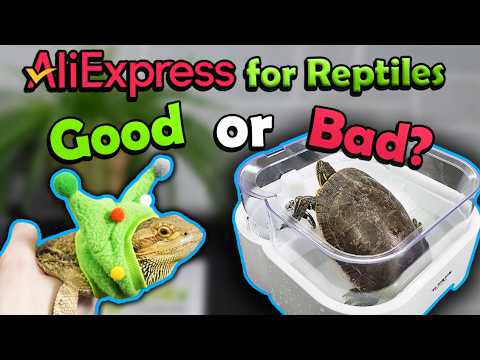 We Review Reptile Products from AliExpress!