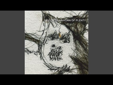 Don't Ask - Grizzly Bear