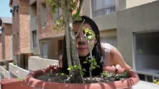 Jacuzzi Boys-Bricks or Coconuts (Music Video)