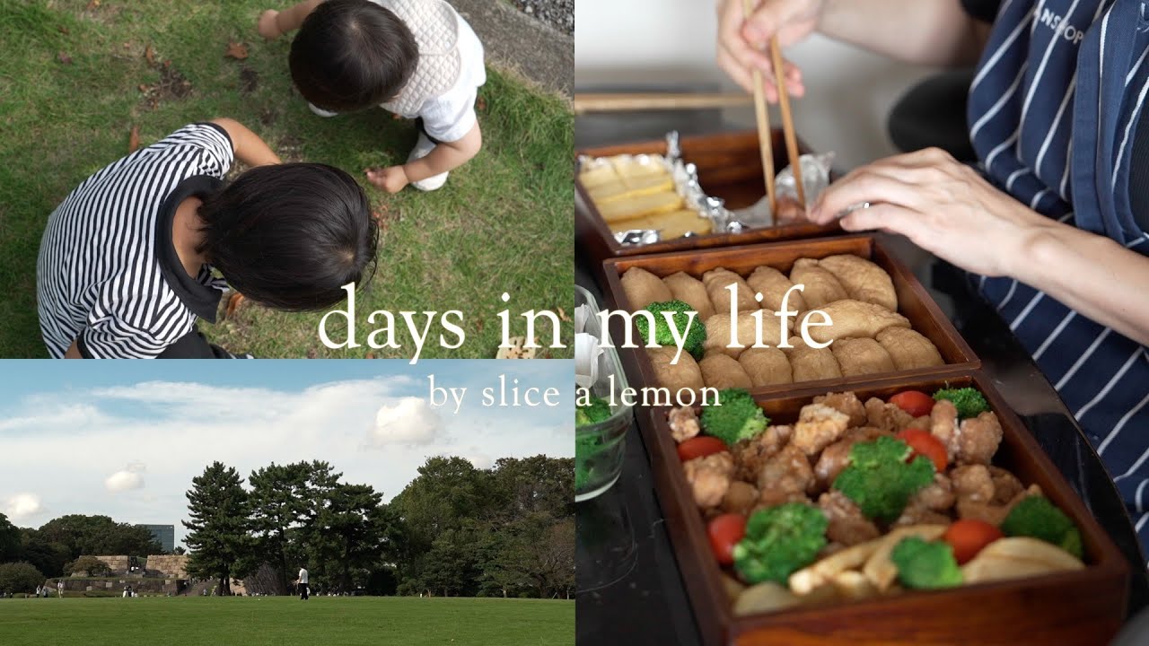 お弁当作り/4人家族最後のピクニック/妊娠9ヶ月/料理vlog