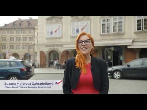 Žlutý pes koncert za normální život