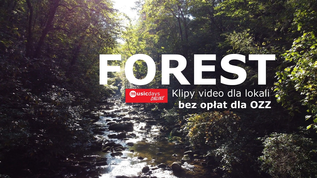 YouTube - FOREST