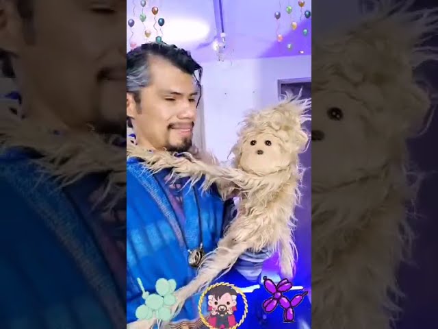 Vídeo relacionado con SINSEN Disfraz de Dr. Strange para niños, disfraz de superhéroe, capa de Halloween, fiesta de carnaval, trajes para niños (130 (altura de 49 a 53 pulgadas)