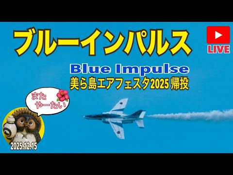 美ら島エアフェスタ2025 ブルーインパルス帰投ライブ2025.12.15【山口かおり】 サムネイル