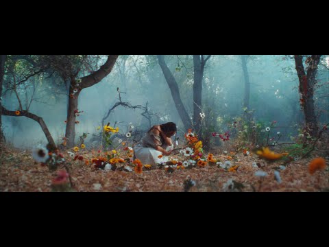 Of The Trees - Dolori (Official Music Video)