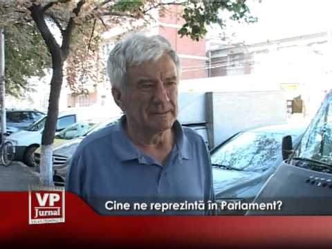 Cine ne reprezintă în Parlament?
