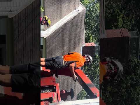 ￼ DC wood tree, cutting and removal ￼￼