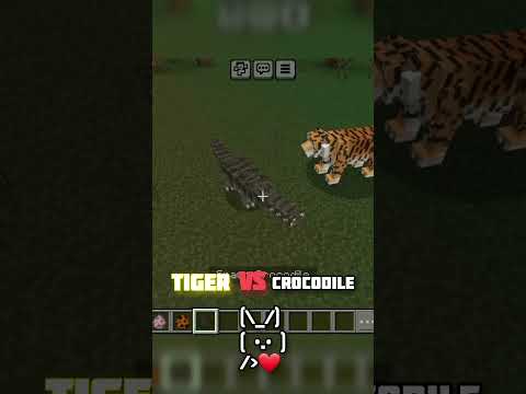 Epic Tiger vs Crocodile Battle in Minecraft! 🐅🐊