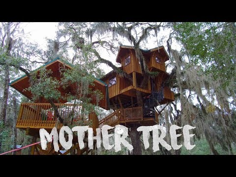 download lagu mp3 mp4 Wonderful Tree Houses, download lagu Wonderful Tree Houses gratis, unduh video klip Wonderful Tree Houses