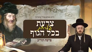 הרב מנחם מנדל פומרנץ | מתורתו של החתם סופר - פרשת תזריע • צרעת פורחת בכל הגוף •